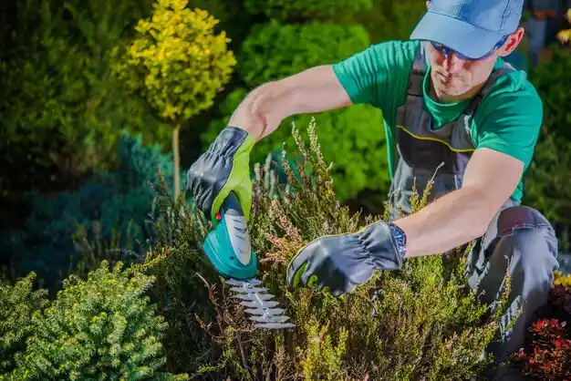 landscaping services Croton-on-Hudson